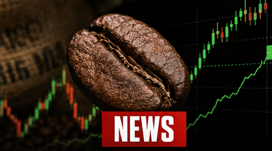 Coffee Prices Are Soaring. So Why Are We Starting a Coffee Business Now?